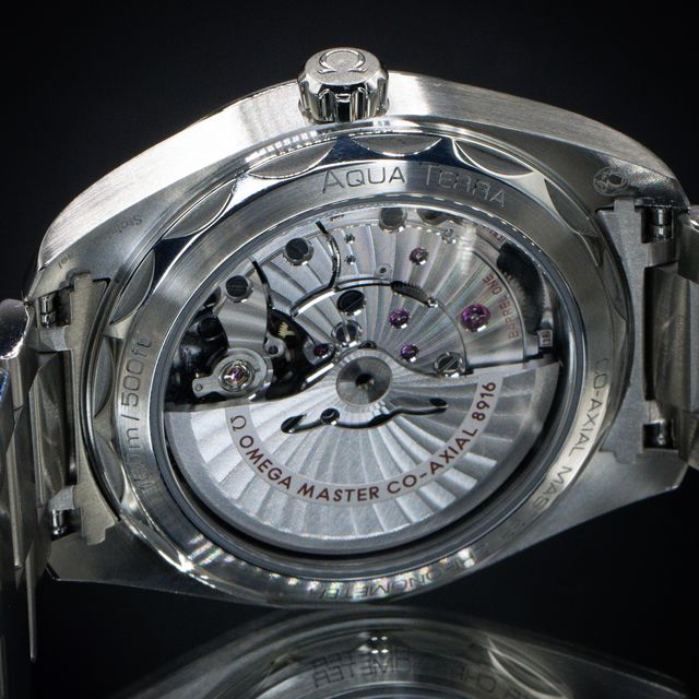 Omega Aqua Terra 150m Gents 220.10.41.21.02.004 Image 4